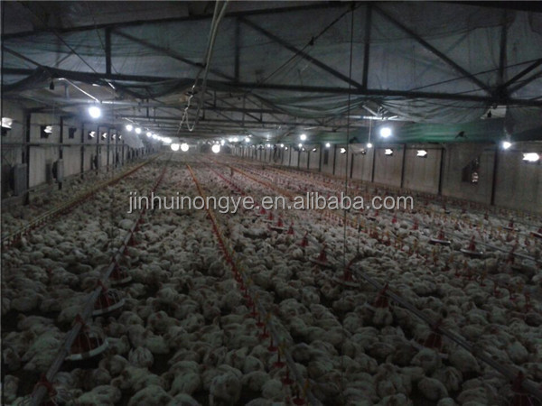 Poultry farm equipment automatic design layer chicken cage