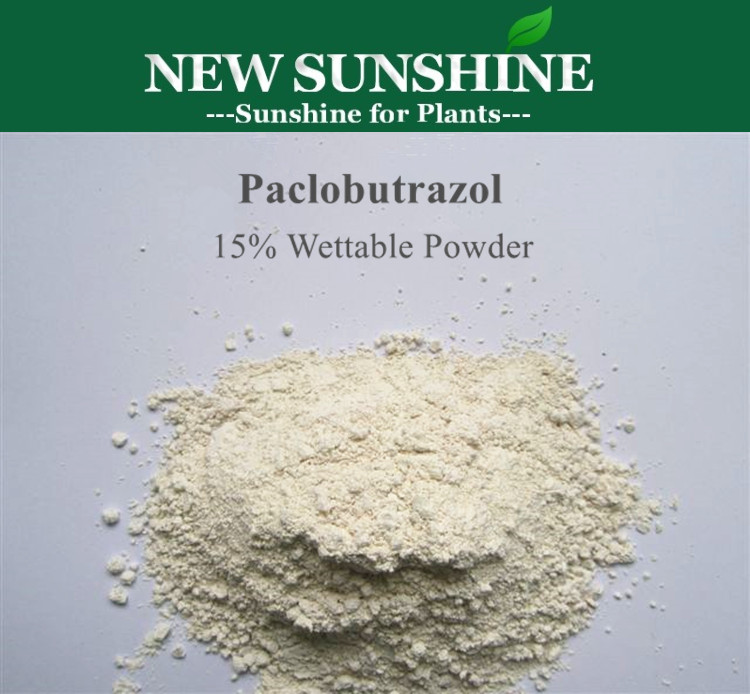 Plant Growth Regulator Paclobutrazol Price Paclobutrazol 25% SC Liquid 15% WP 95% TC
