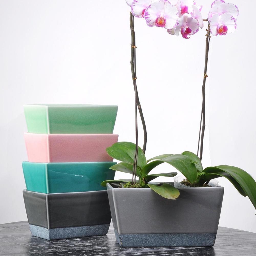 кашпо lechuza орхидея. кашпо для орхидей. орхидея фаленопсис в горшке. необычные горшки для орхидей. горшок для орхидей идеа.