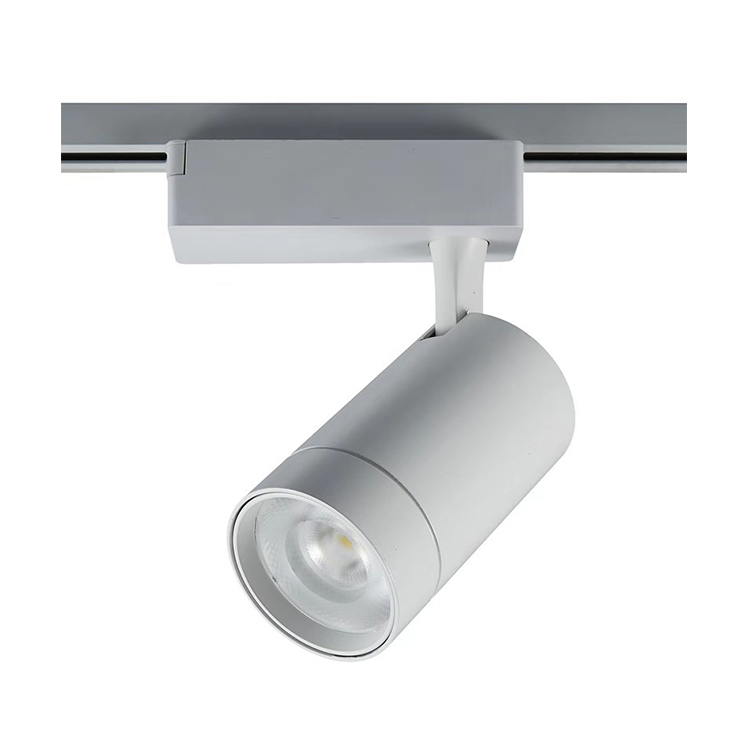 RANZI 2020 новая конкурентоспособная цена регулировка угла луча клуба 30 Вт Светодиодный Трековый светильник