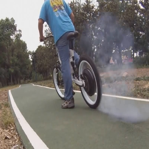 Rungu Juggernaut Bike