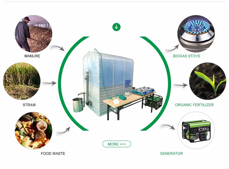 Portable Home Scale Biogas Plant for Cooking
