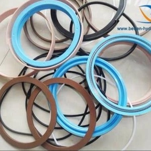 Bidirectional hydraulic Seal Kit