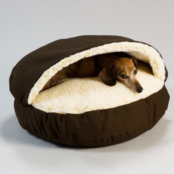 covered dog bed