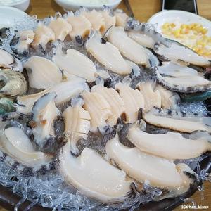 arcticshellfish