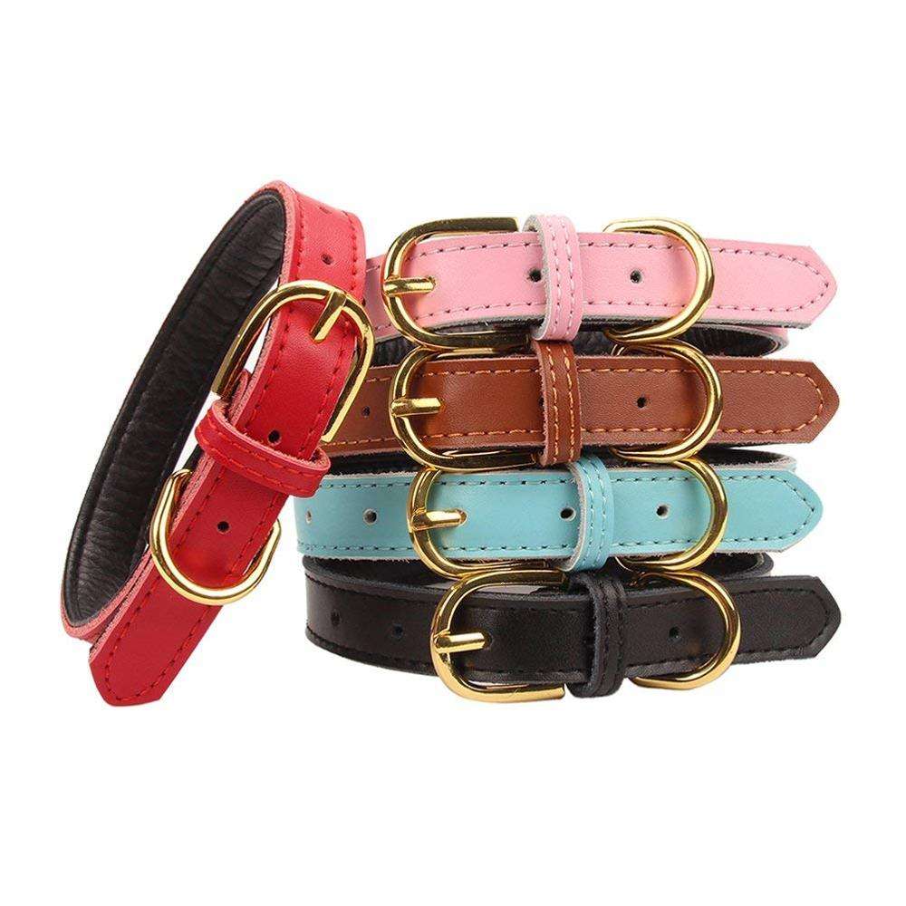 fine leather dog collars