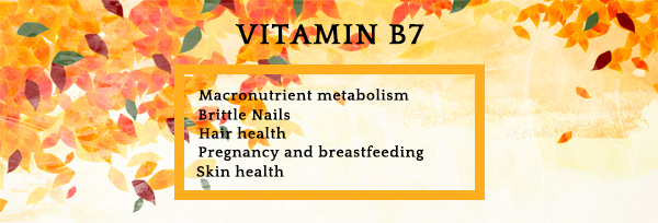 Lifeworth bulk biotin 10000 mcg tablets for hair