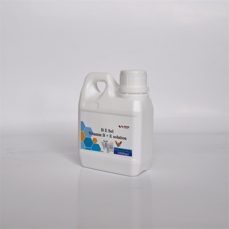 China Vitamin B Oral Liquid China Vitamin B Oral Liquid