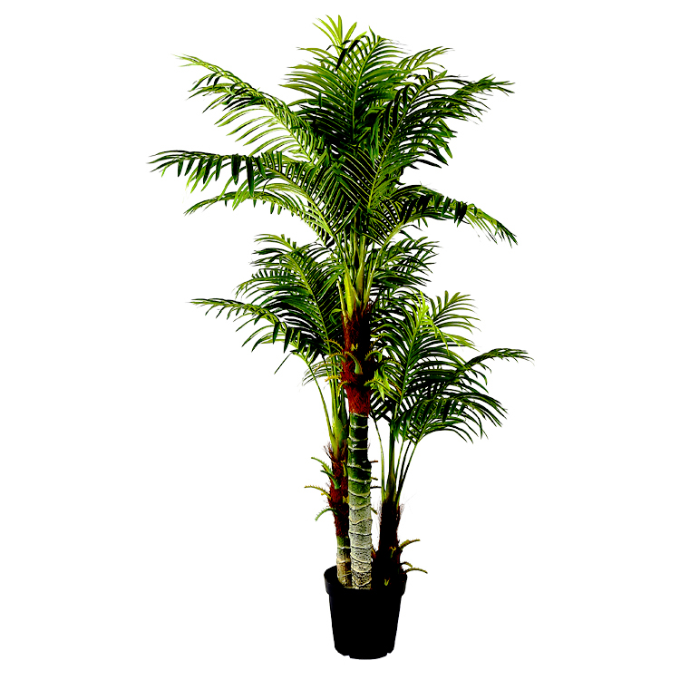 Shooting ornaments Phoenix palm tree fake plant artificial Kentia Palm