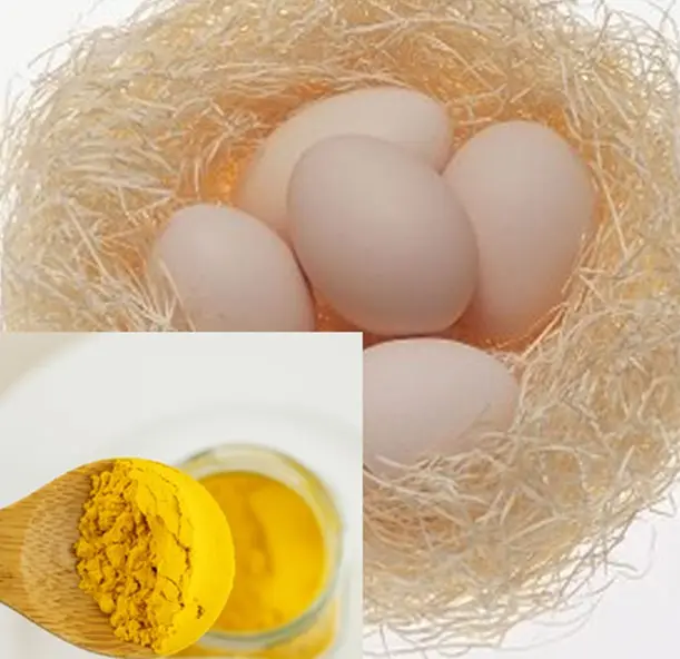 Яйца протеин. Белок от яйца купить. York Eggs. Яичный желток купить.