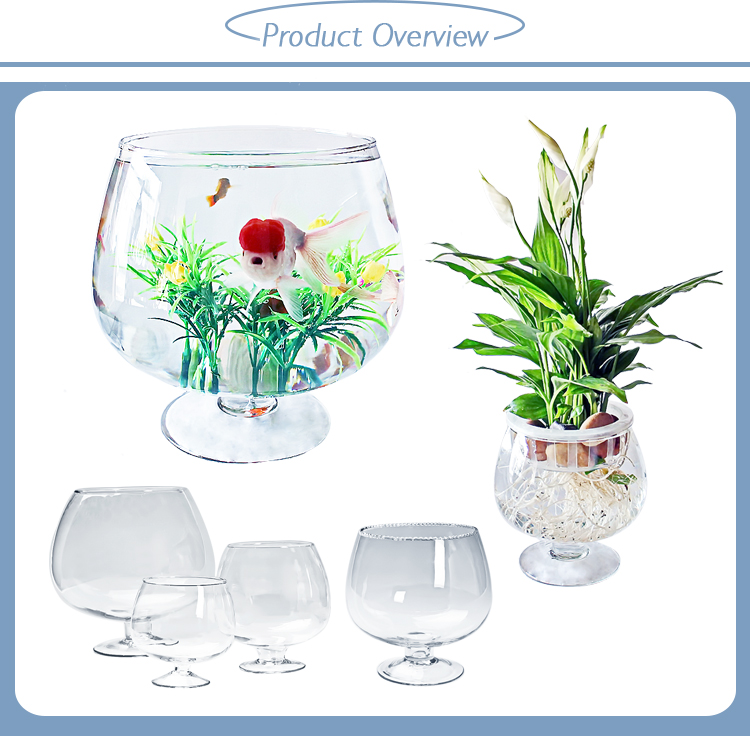 Guangzhou Wine Cup Shape Large Glass Fish Bowl Planter