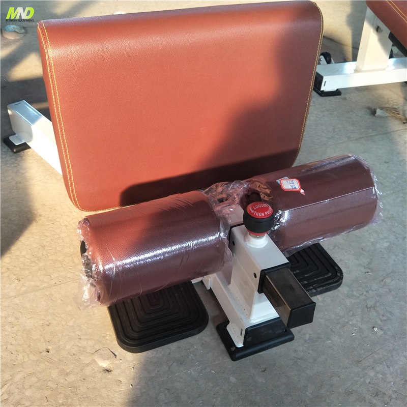 China Supplier Home Sissy Squat Machine Gym Equipment