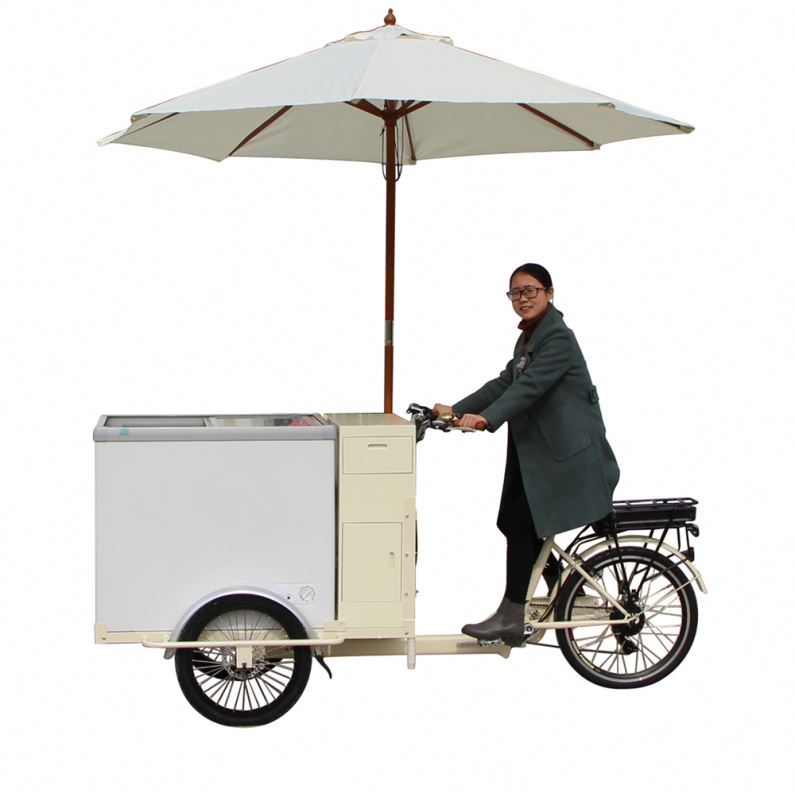 ice cream trike for sale