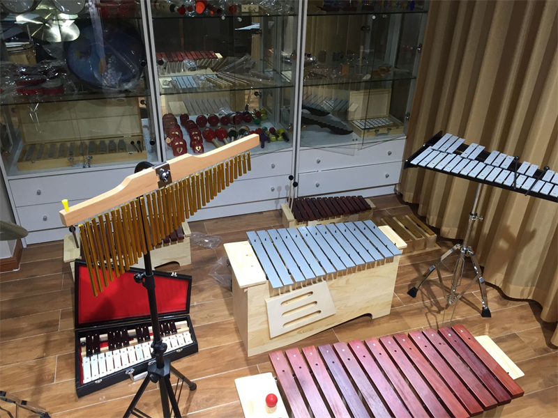 37 Tone Xylophone Percussion Instruments for Kids - Ideal for