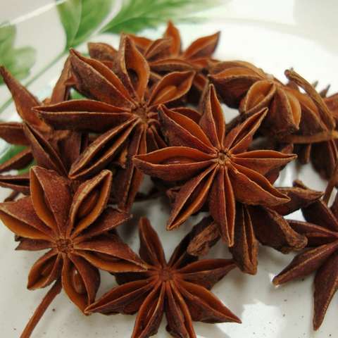 star anise, star anise direct from shandong xingyuan