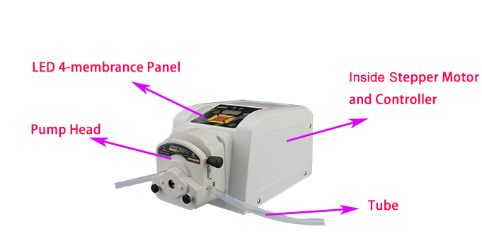 JIHPUMP 110v 220v High Quality Small Peristaltic Pump Water Liquid Dosing Hose Pumps Pumping Machine Controller Market Price