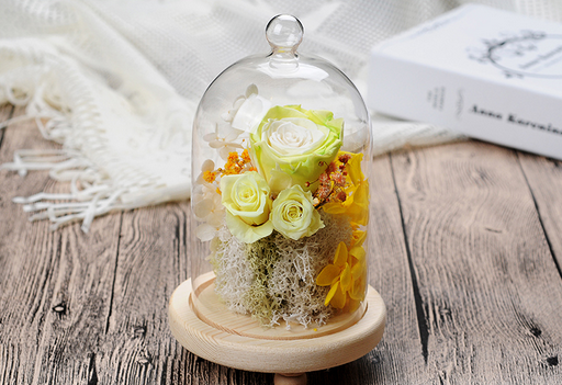 Factory Home Decor Customized Terrarium Clear Bell Jars Glass Domes China Borosilicate Glass Customized Packaging Modern