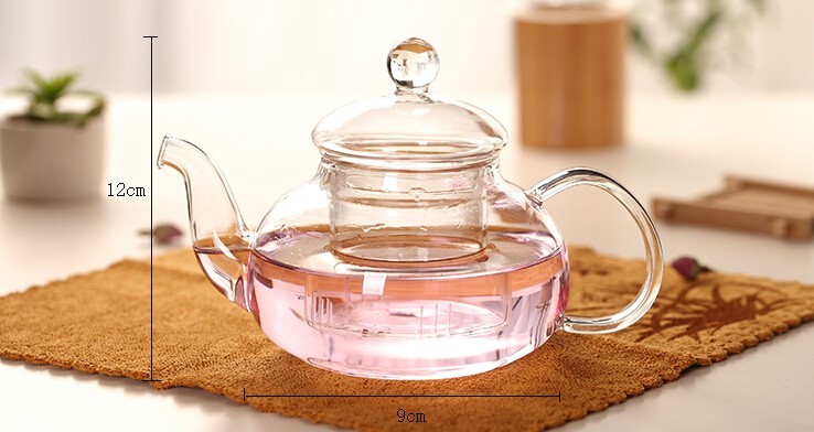 transparent coffee pot heat resistant glass teapot with infuser