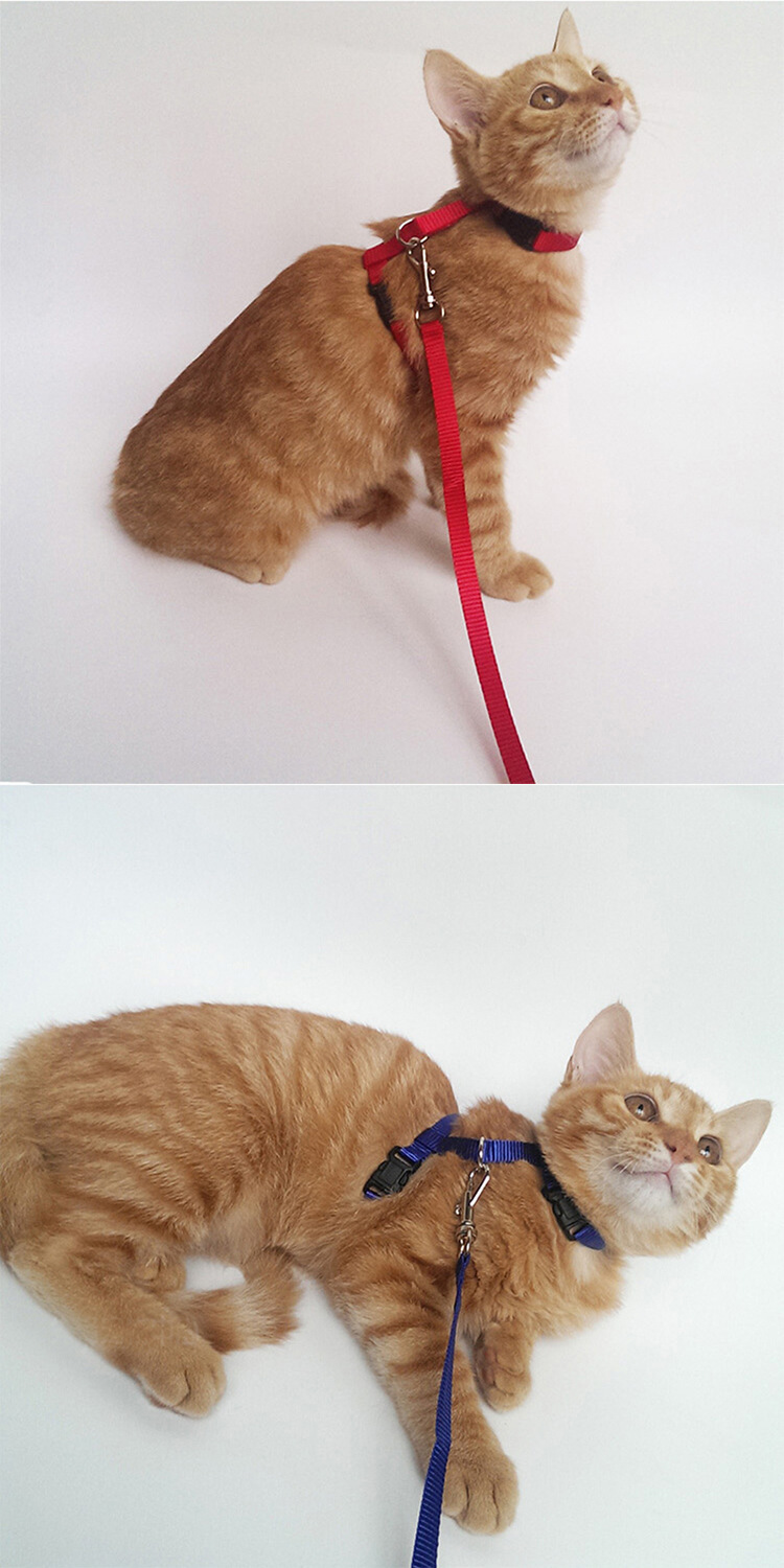宠物猫产品批发猫链型胸带带猫绳牵引绳厂家直销