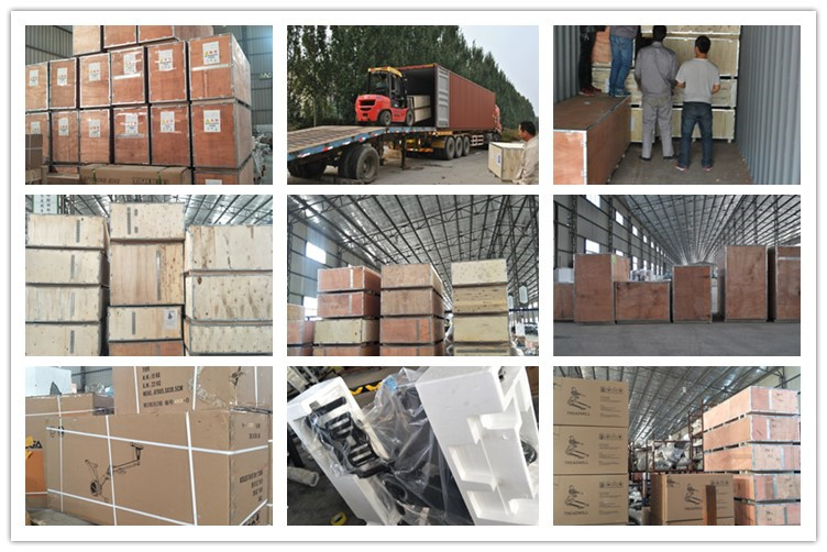 China Supplier Home Sissy Squat Machine Gym Equipment