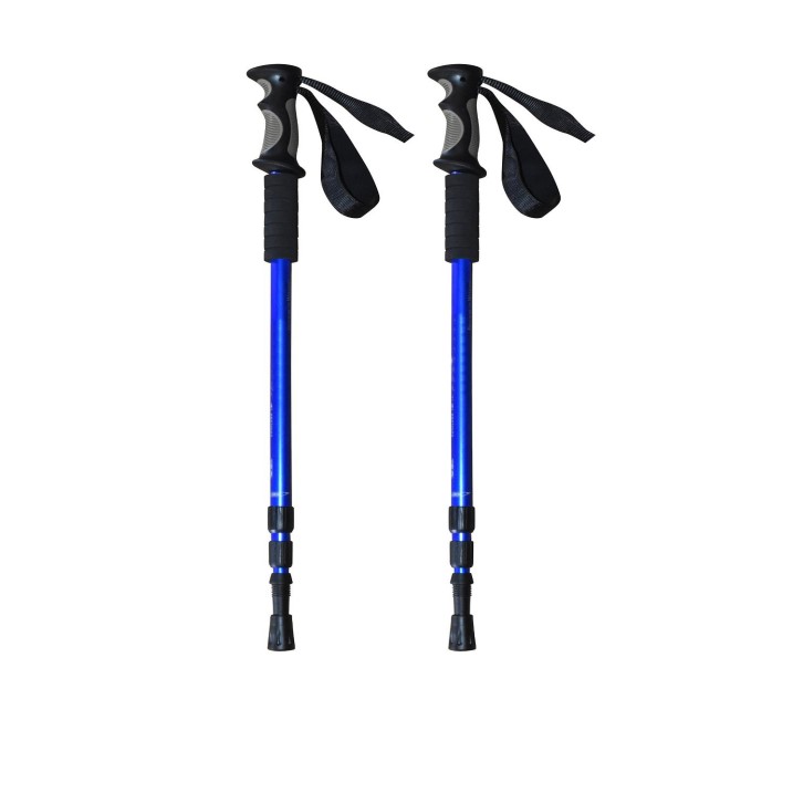 wildcraft trekking pole