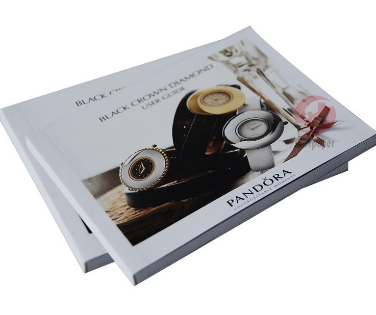 Каталог ландшафтовары продуктов цветная печатная книга года с ламинированием