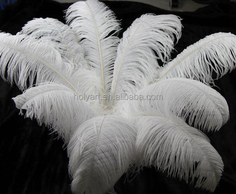 feather, feather direct from dalian holy trading co., ltd. in cn