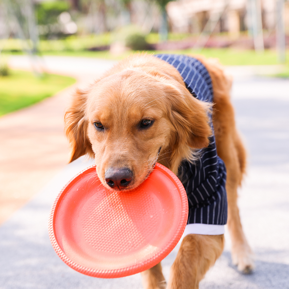 Интерактивных развлечений игры на свежем воздухе резиновый прочный летающий диск игрушка для домашних животных для больших собак