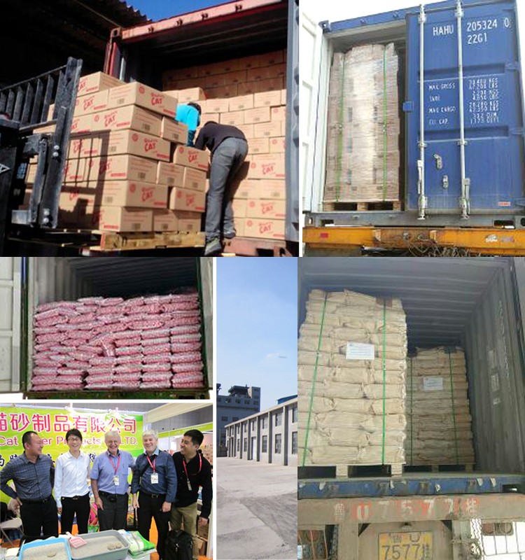 product-708-755 2023 Trending Products Pet Supplies China Cat Cleaning for Cats 100% Natural Sodium Bentonite Fragrance Cat Litter Irregular