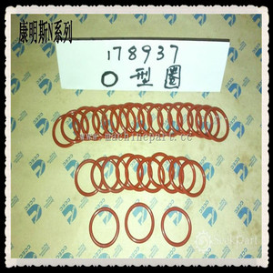 Cummins Spare Parts CCEC Engine Part O Ring 178937 131026