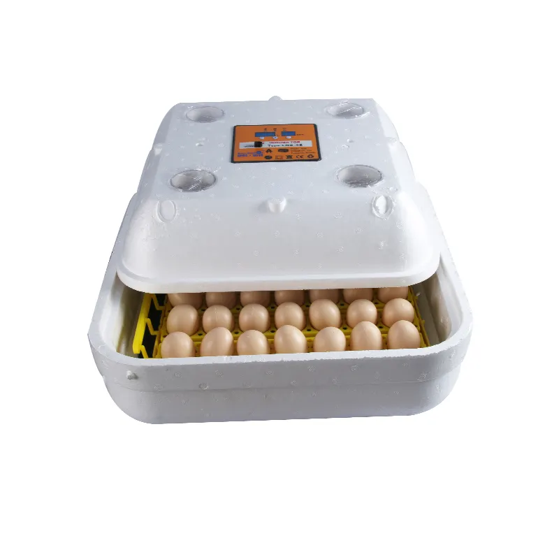 Автоматический инкубатор 12 яиц. Mini Egg incubator на 12 яиц. Мини инкубатор для яиц. In5 incubator Dubai.
