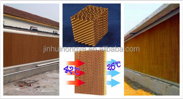 Poultry farm equipment automatic design layer chicken cage