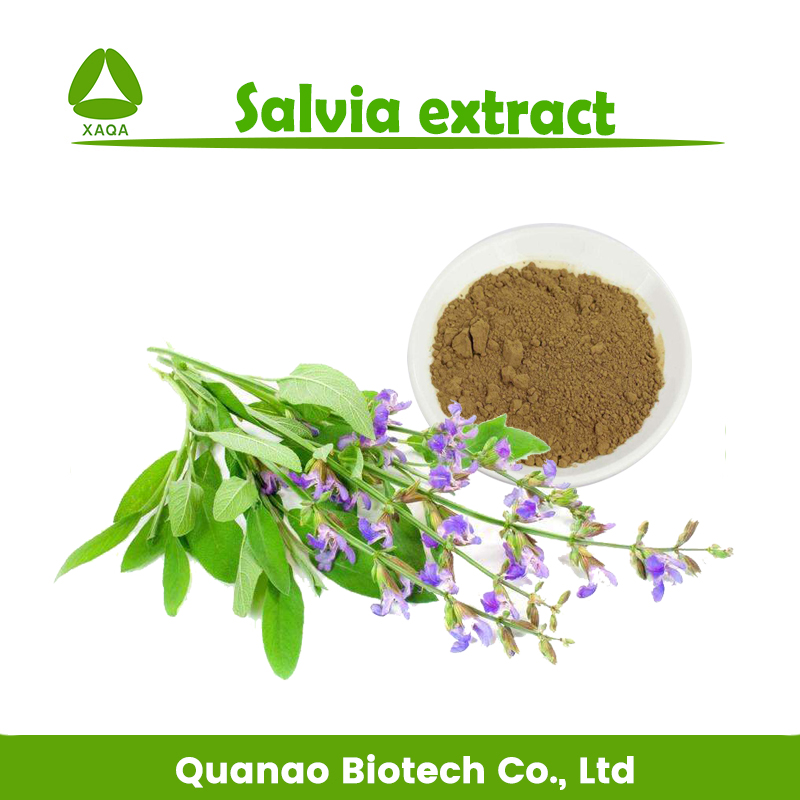 Salvia extract