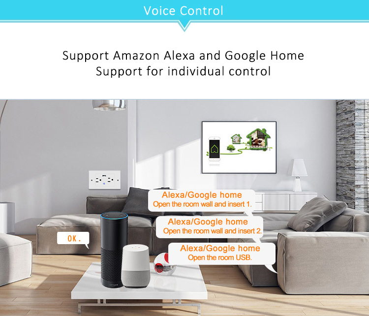 10A Tuya App Wireless Wifi Remote Control Smart Home Wall Socket With USB Charging Port Support Timing and Voice Control