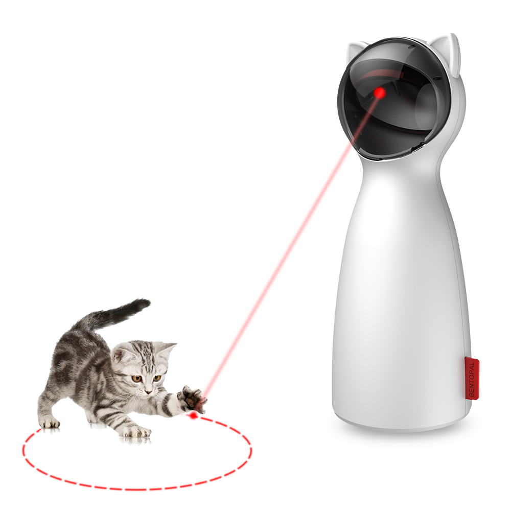 cat laser toy