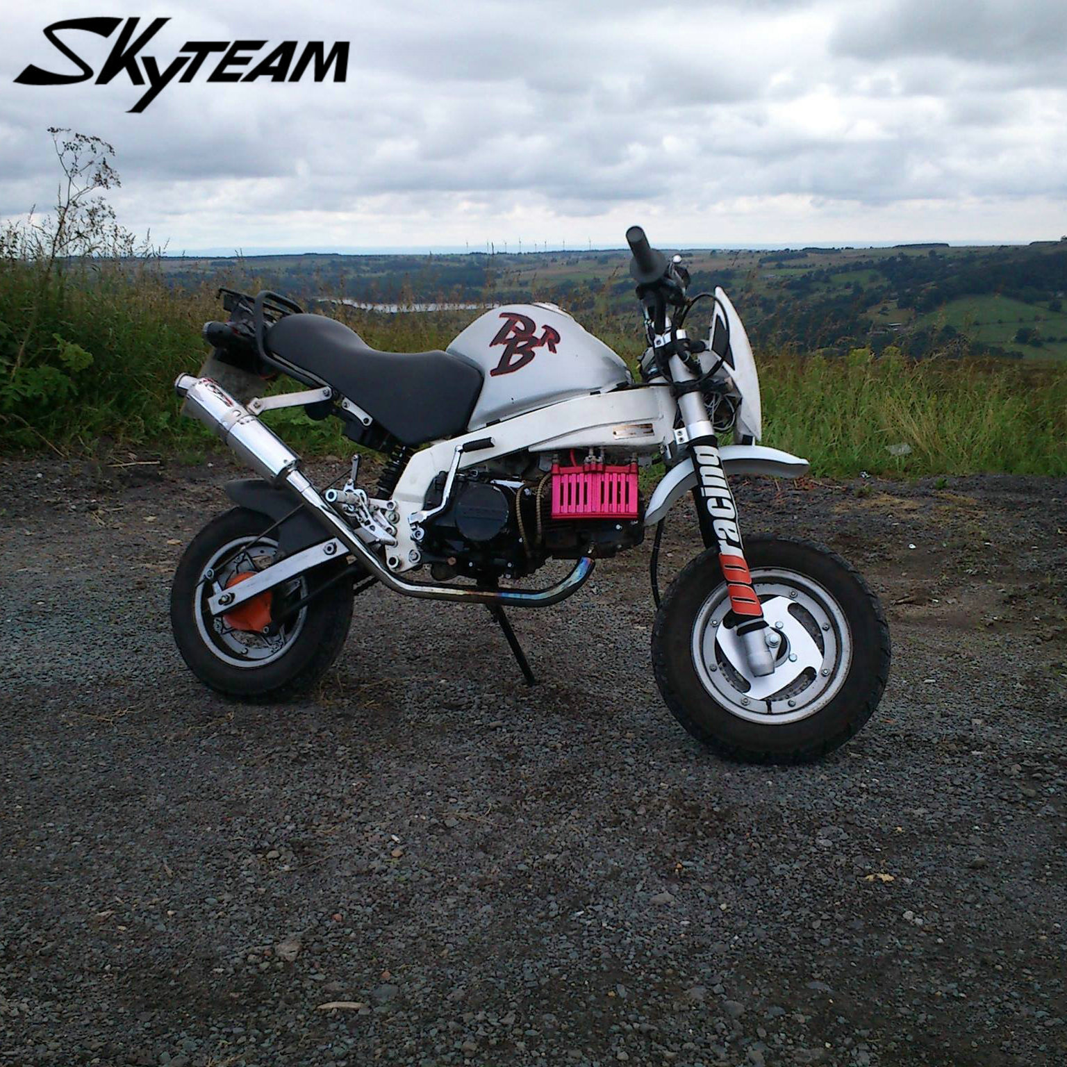 skyteam 50cc 125cc 4冲程pbr猴子zb50 ksr摩托车 (eec euro3批准)