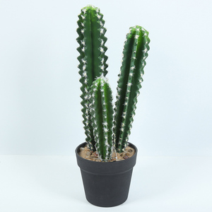 Cactus Mexicain-117cm