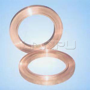 Customer design OEM Acceptable Ring Rotor End Motor With Locking Rings