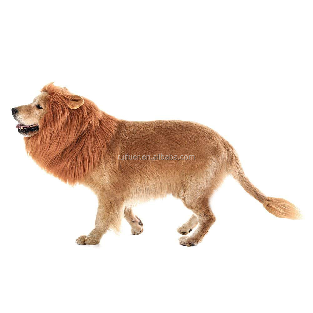 Accessorio Divertente Animali Parrucca Per Cane A Forma Di