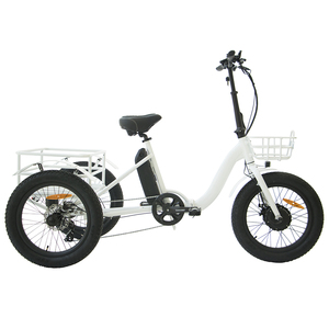 fold up electric trike
