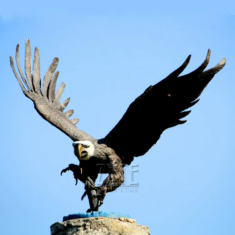 世界上最大的鹰雕图片图片