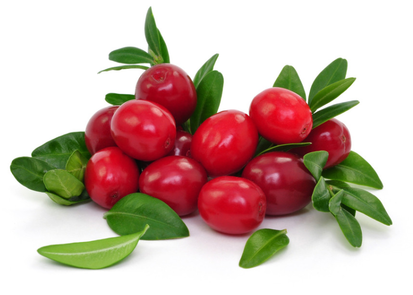 膳食营养支持越橘提取物粉含花青素10% - buy lingonberry extract po