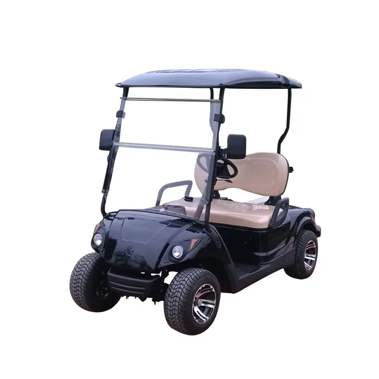 single seat golf buggy reviews