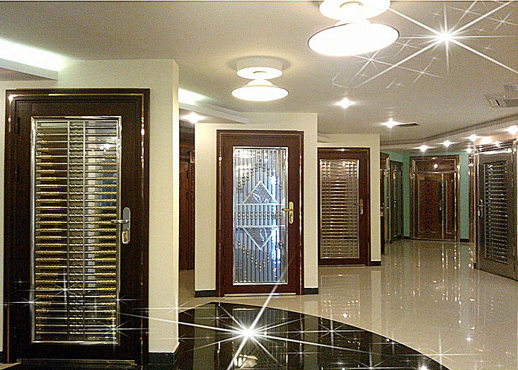 apartment main gate design stainless steel door good price