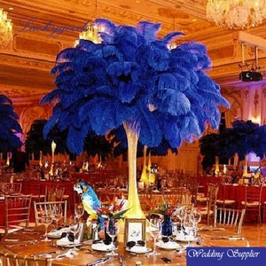 Ostrich Feather Centerpiece Kits Ostrich Feather Centerpiece Kits