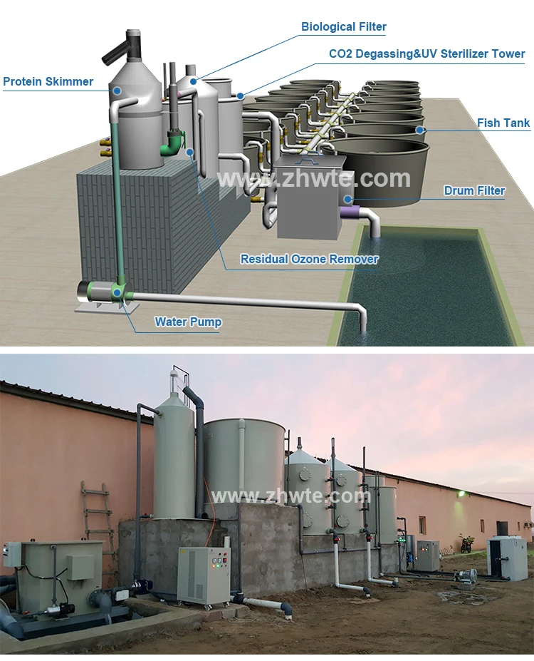 Shrimp Farming Equipment RAS System,shrimp farm for sale,aquaculture shrimp farming