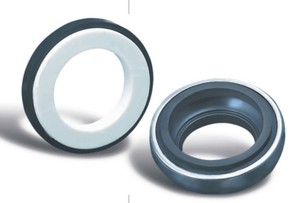 Mechanical Seals