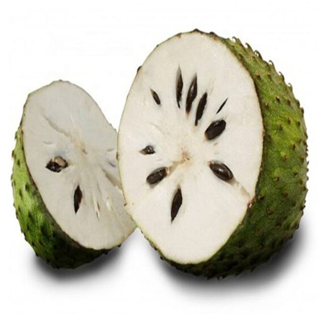 new brand original packaging f1 hybrid white balsam pear seeds
