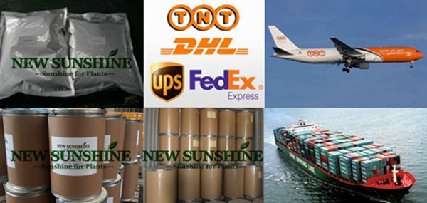 Professio<i></i>nal Manufacturer Plant Growth Regulator B9 95% TC