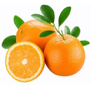 OEM/ODM private label 50ML Vitamin C Anti-Aging Repairing whitening for face lotion facial Cream Moisturizer Skin Care